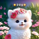 구월초등학교 이미지