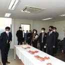 진흥유통