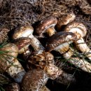 의성(영덕)휴게소 이미지