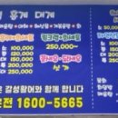 갈성활어