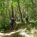 죽전민박 이미지