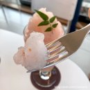 대전 도안동 브런치 맛집 [데이오프카페] 플래터
