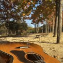 7080 통기타 배우기 | 울산 기타학원 코스틱코드 : 바빠도 함께하고 싶은 기타🎸