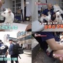 토리농장 이미지