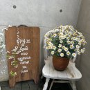 순천 브런치맛집, 호수공원맛집, 순천맛집, 디마브