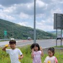 유곡천다목적캠핑장 이미지