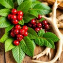 김오곤한의원 | 김오곤 침향환 효능 성분 가격 총정리