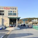 울산 주전 회센터 당사자연산직판장(현대직판장·천만초장)