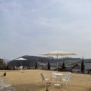 더카페(The cafe) 이미지