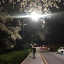 회나무 작은도서관 | 210401-0410