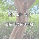 사주와차 이미지