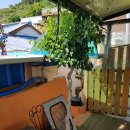 바다목장민박 이미지