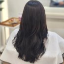 주엘리헤어