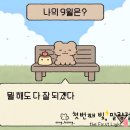젤리애드
