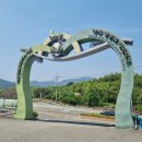 거제 맹종죽 테마파크 * 가볼만한 거제 관광지로 추천!