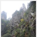 중국 최고의 명산 황산. 서해대협곡. 삼청산.상해. 항주서호 유람선(4월7일-11일) 이미지