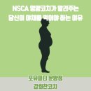 경선유통 | 운양동헬스장 NSCA 공인 스포츠 영양 코치가 알려주는 당신이 야채를 반드시 먹어야 하는 이유