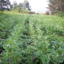 한누리농장 이미지