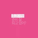 로컬홀릭 이미지
