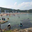 ▣ [여름휴가] 포항:- 칠포 해수욕장 솔밭피스~바다/조개체취 이미지