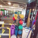 맥스 퍼스널 트레이닝&테라피 스튜디오(440) | 도곡동 피티 여자 기초체력다지기