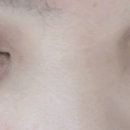 와이래쉬 네이버블로그