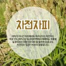 대박식품 이미지