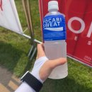 터치드 처돌이의 2024 썸데이 페스티벌 / 페벌 입문자 Someday festival 후기