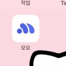 모요 이미지