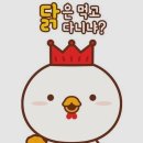 판교세탁소 이미지