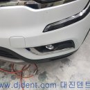 대진덴트칼라시스템