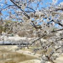 하얀파크 이미지