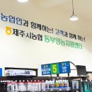 환영주유소 | [제주시농협서포터즈] 제주시농협 사무소 견학 탐방 후기