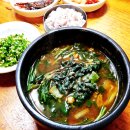 생방송투데이 다슬기국밥 외국인도 반한 맛, 위치·가격·솔직후기