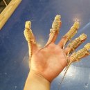 펫스토어1004 이미지