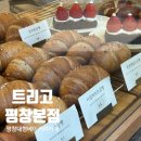 트리고(trigo) 이미지