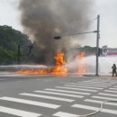 시외버스터미널 앞 이미지