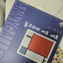 세모템