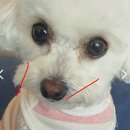 동문 굿모닝힐정문 이미지