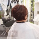 공작미용실 이미지