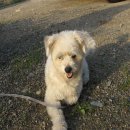 영림축산 이미지