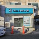 울산 셀포랩 그레이스 : 체지방감소 다이어트 체험 후기