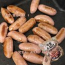 (주)해천 | 캠핑술안주 캠핑요리 바베큐소세지 추천 일품선 숯불소세지 솔직후기