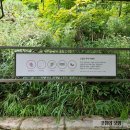 가을 단풍 명소 화담숲 9월 화담숲 여행 화담숲 9월 풍경, 포토존
