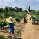 준경농장 이미지