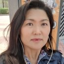 꽃 보러 가요 서울 봄나들이 추천 장소 봉은사