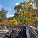 써니밸리오토캠핑장 | 충북 괴산 캠핑장 써니밸리오토캠핑장 :: 가을 단풍 캠핑장 추천 M3 명당 자리 후기