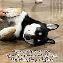 노라
