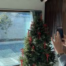 나진별채 이미지