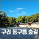 황제오락실 | 구리 동구릉 가을 숲길 조선왕릉축전 입장료 주차 운영시간